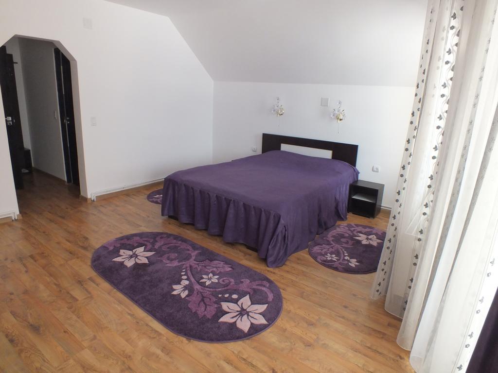 Pensiunea Eliza Hotel Podu Cosnii Стая снимка