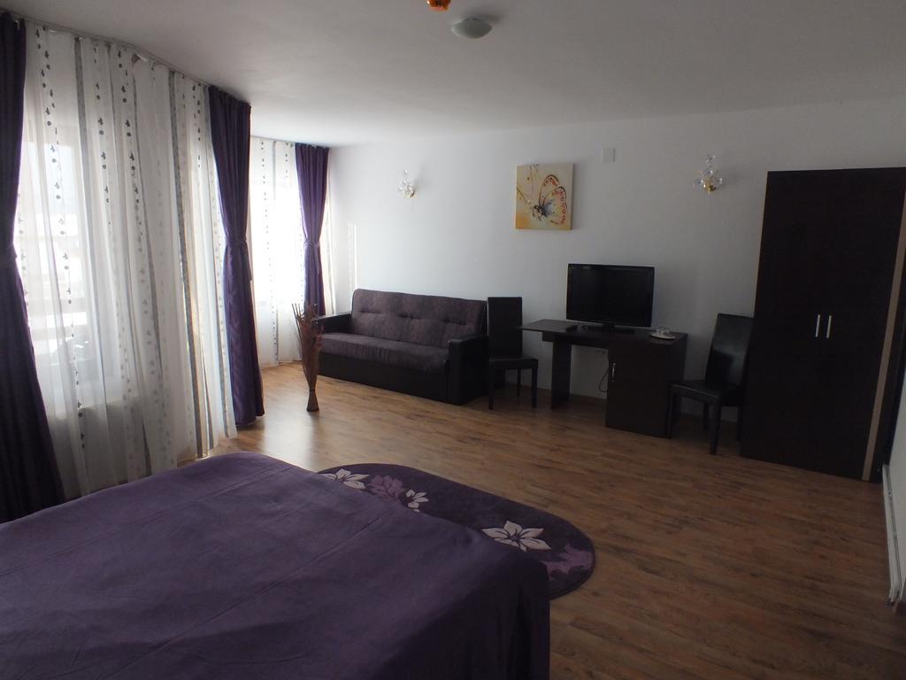 Pensiunea Eliza Hotel Podu Cosnii Стая снимка